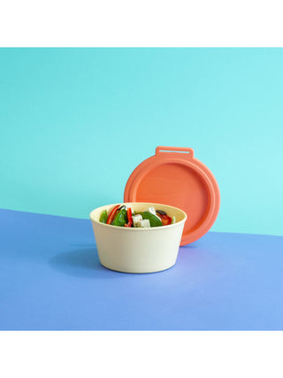 Bowl with lid NORA BOX 700 ml