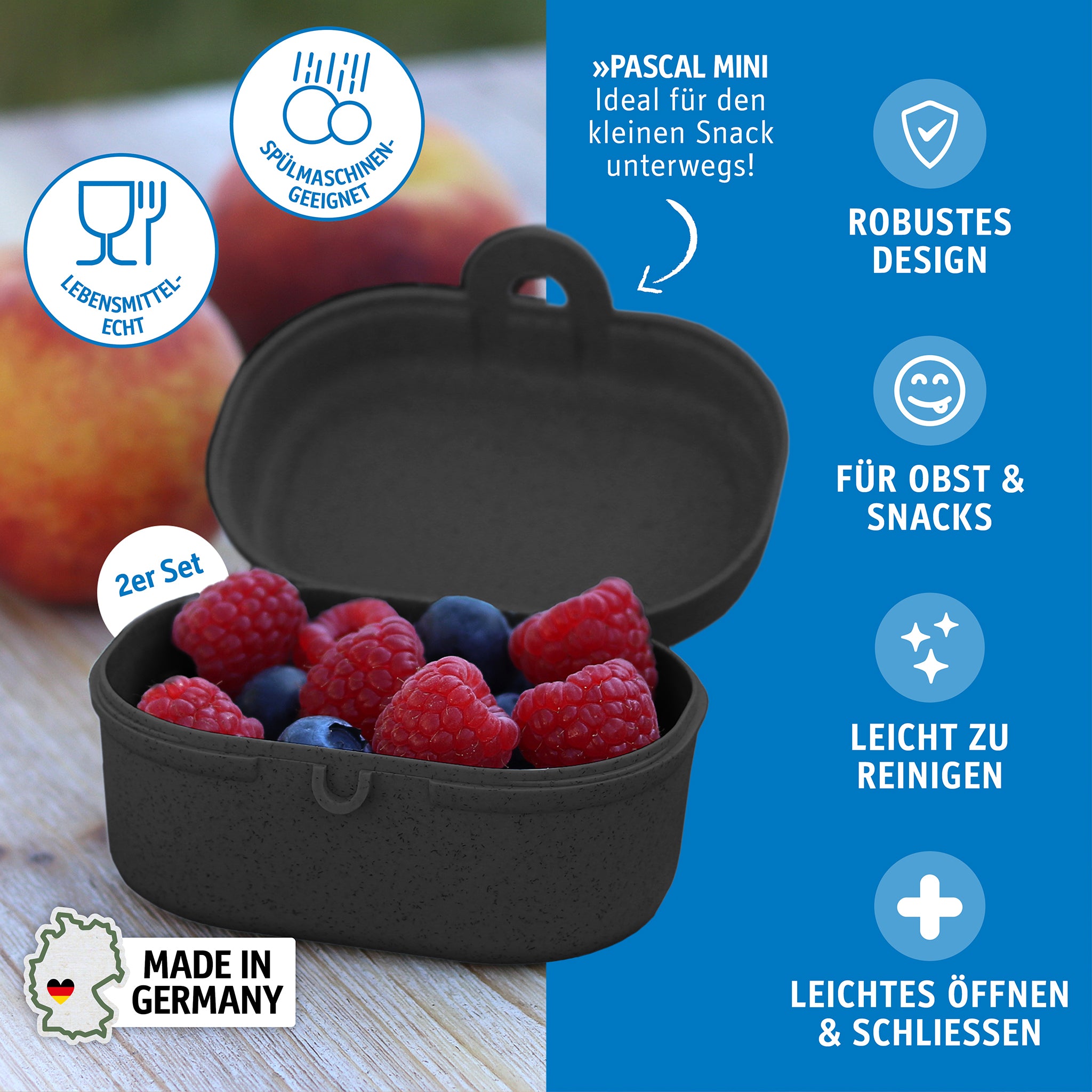 koziol Snackbox PASCAL MINI