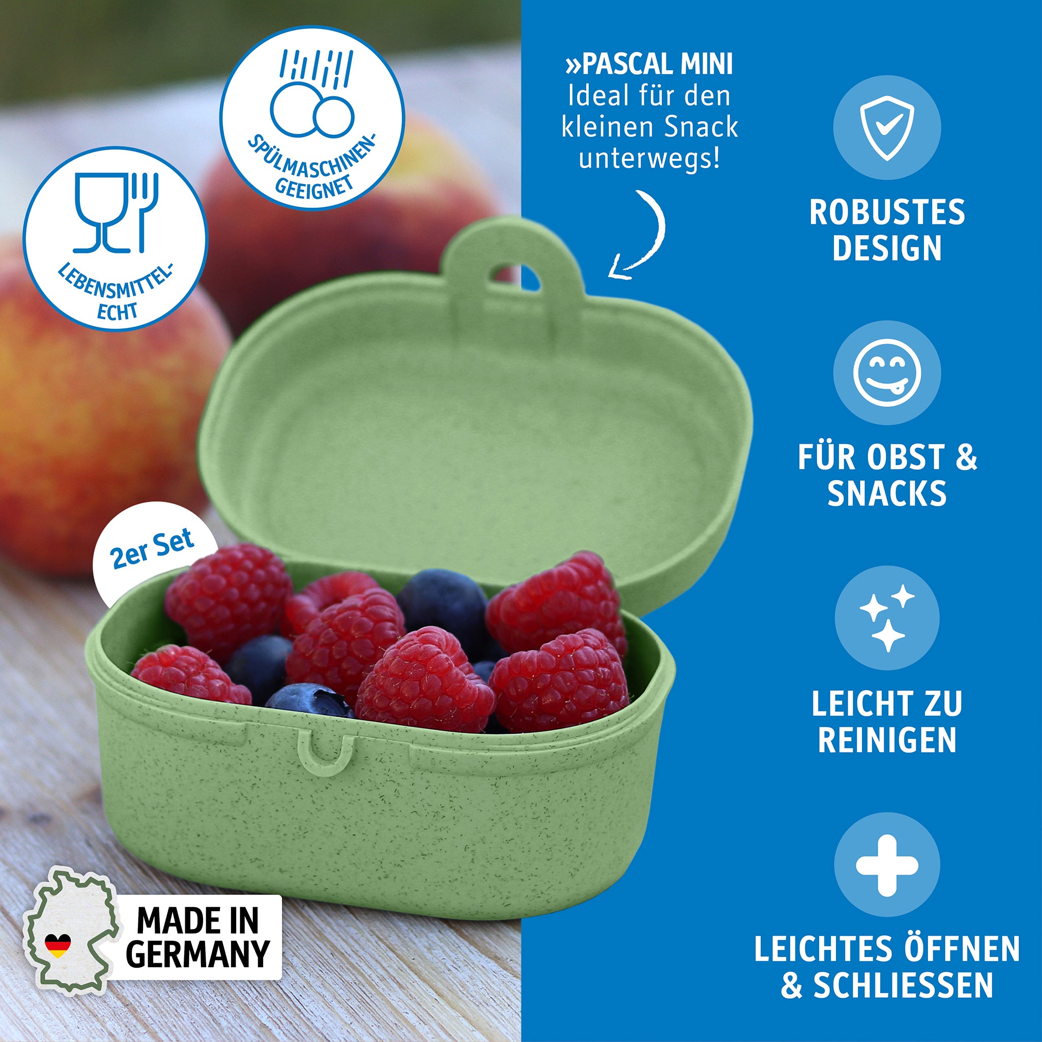 koziol Snackbox PASCAL MINI