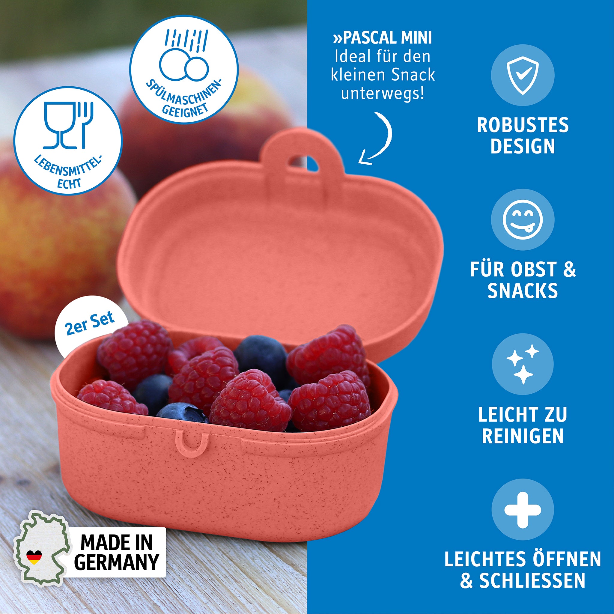 koziol Snackbox PASCAL MINI