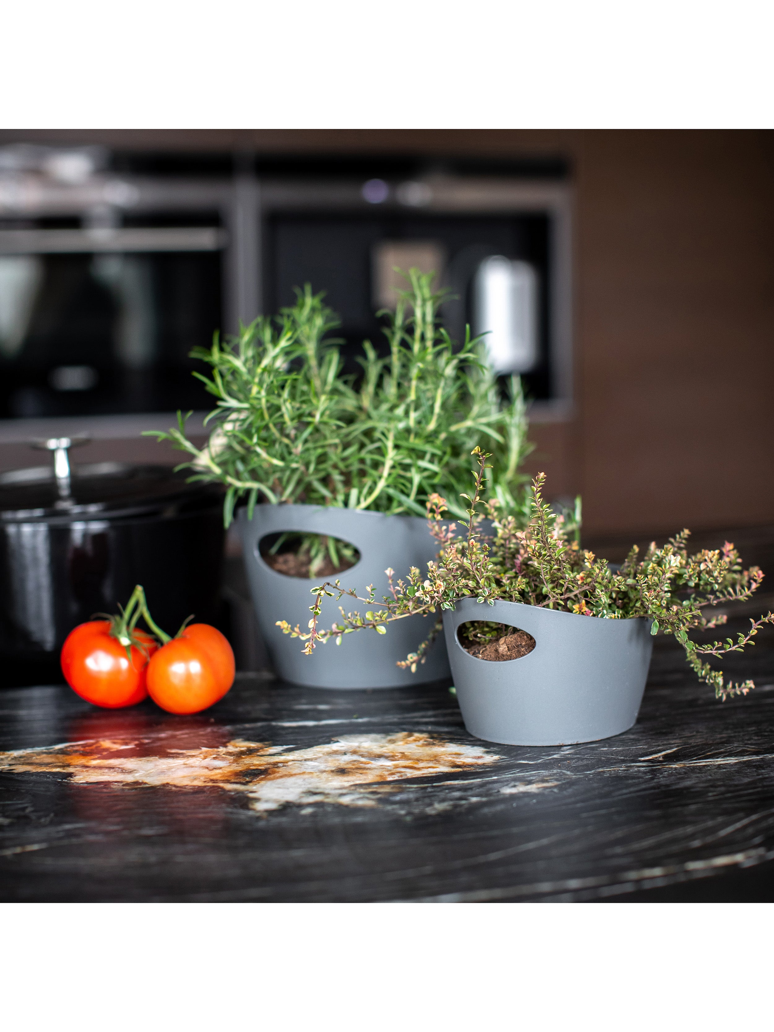 koziol Utensilo BOTTICHELLI S