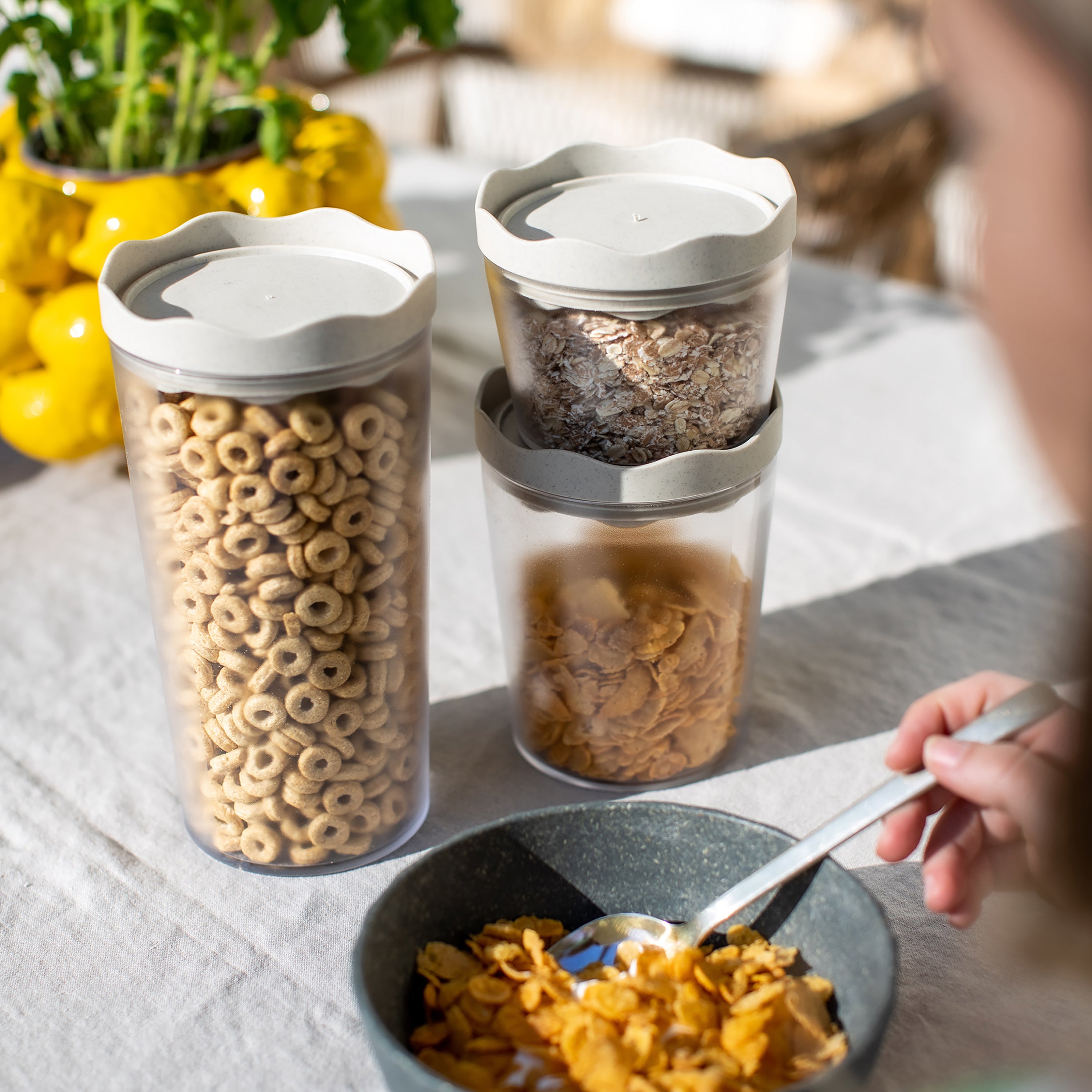 koziol Vorratsdose PRINCE L